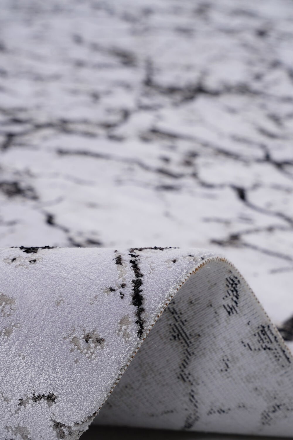 Pierre Cardin Gaudi GA04B Salon Halısı