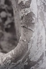 Naar Karia 33142 Bambu Halı