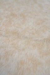 Orjinal Dana Postu Deri Halı