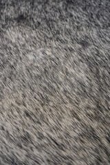 Orjinal Dana Postu Deri Halı 205X185