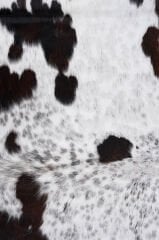 Orjinal Buffalo Postu Deri Halı