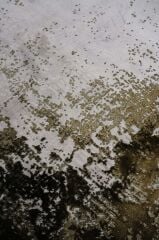 Royal Da Vinci DJ05F Salon Halısı