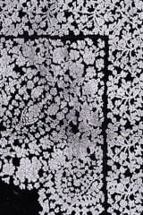 Diora Aden 6981A Bambu Halı