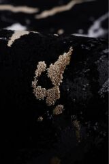 Black M233H Modern Makine Halısı