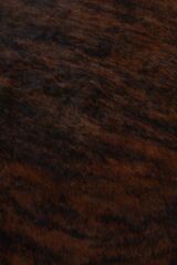 Buffalo Tgr Orjınal Kahverengi Naturel Deri Halı