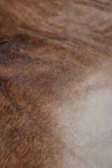 Buffalo Tgr Orjınal Kahverengi Naturel Deri Halı