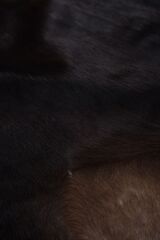 Buffalo Tgr Orjınal Koyu Kahverengi Naturel Deri Halı