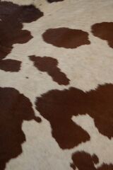 Buffalo Tgr Orjınal Krem / Kahverengi Naturel Deri Halı